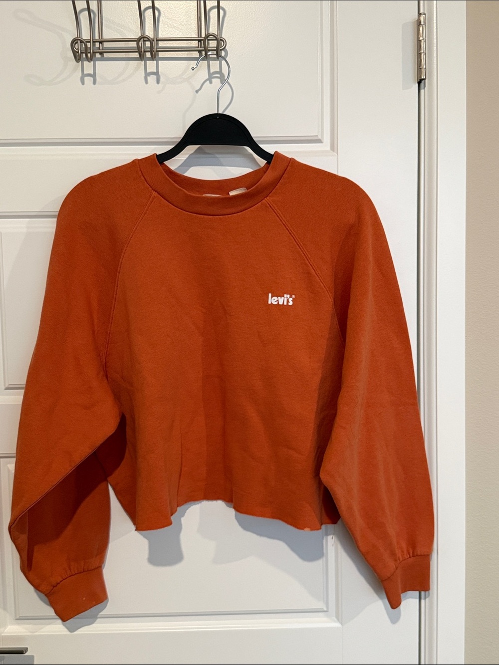 Levi's Women's Cropped Crewneck Sweater - Rust